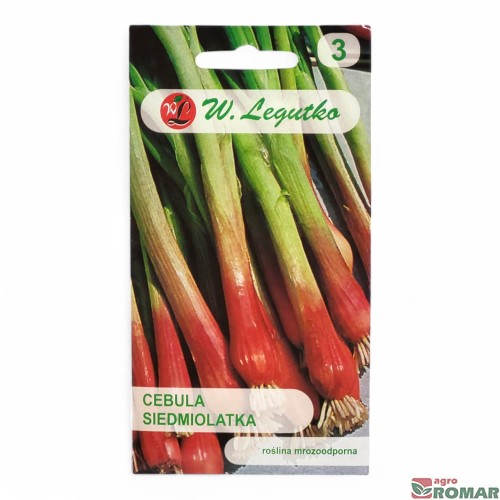 Cebula siedmiolatka.jpg