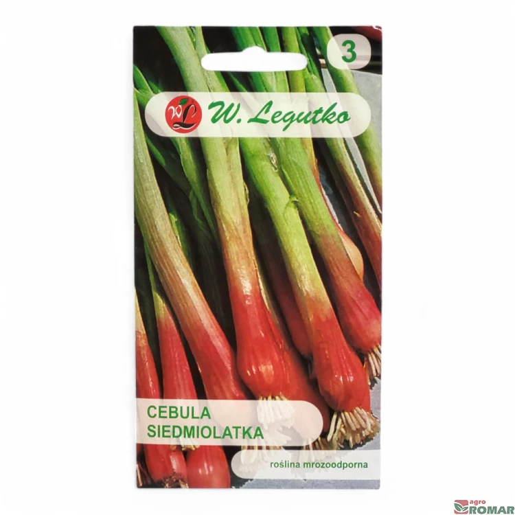 Cebula siedmiolatka.jpg