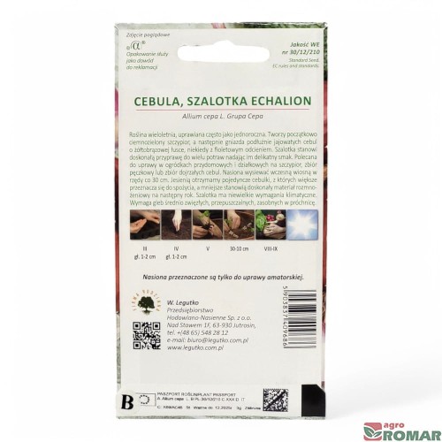 Cebula szalotka echalion(2).jpg
