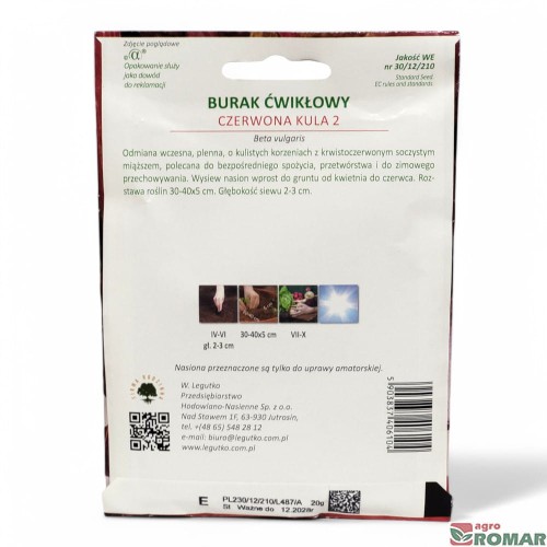 Burak ćwikłowy czerwona kula nr3(2).jpg