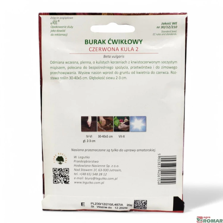 Burak ćwikłowy czerwona kula nr3(2).jpg