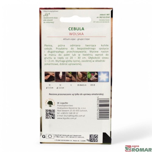 Cebula wolska(2).jpg