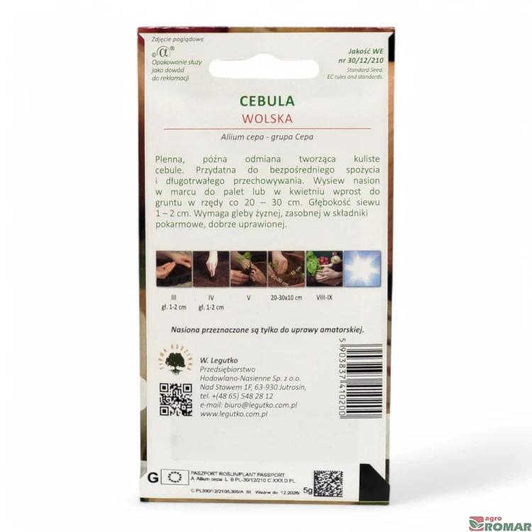 Cebula wolska(2).jpg