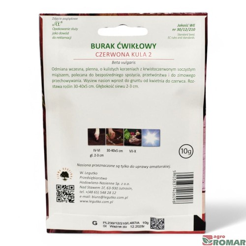 Burak ćwikłowy czerwona kula nr2(2).jpg