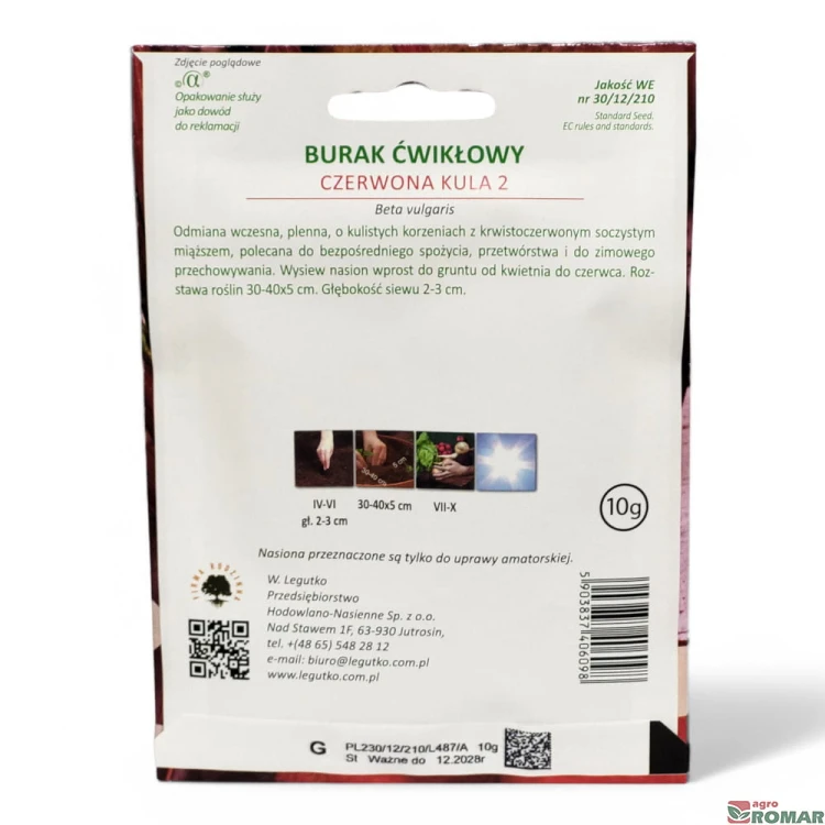 Burak ćwikłowy czerwona kula nr2(2).jpg