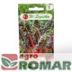 Burak liściowy rhubarb chard.jpg