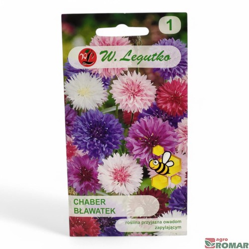 Chaber Bławatek.jpg