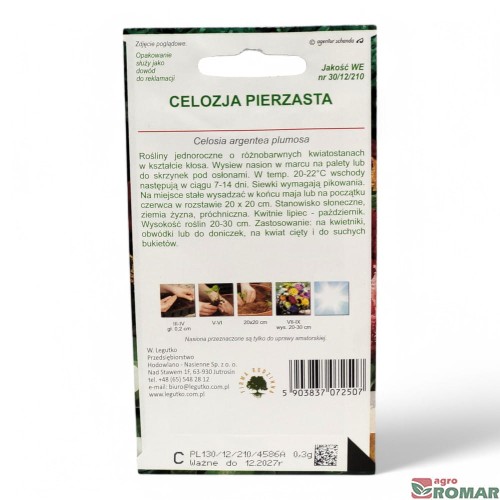 Celozja Pierzasta (2).jpg