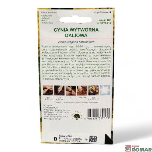 Cynia Wytworna Daliowa żółta(2).jpg