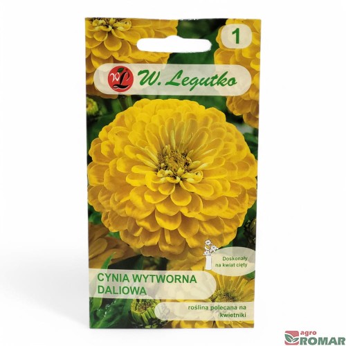 Cynia Wytworna Daliowa żółta.jpg