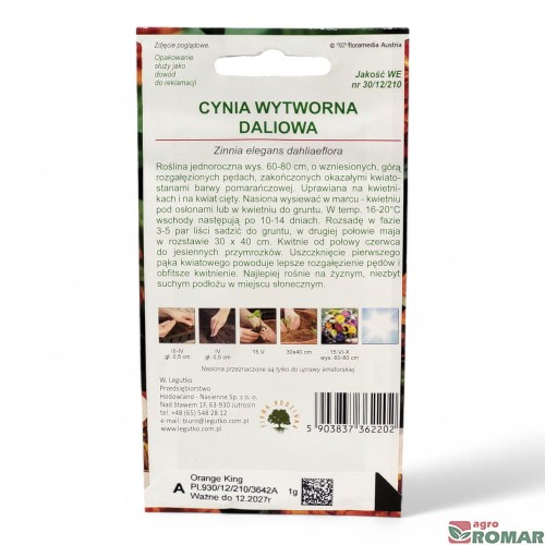 Cynia Wytworna Daliowa(2).jpg