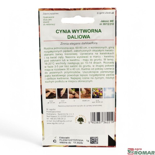 Cynia Wytworna Daliowa łososiowa (2).jpg