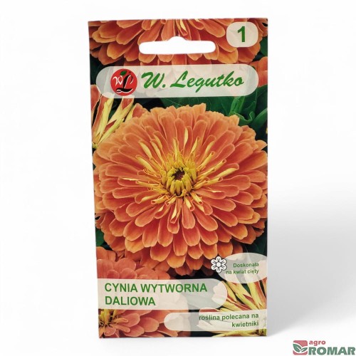 Cynia Wytworna Daliowa łososiowa.jpg