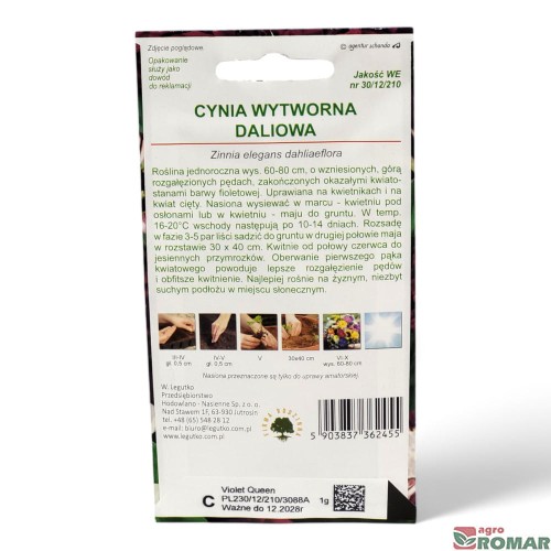 Cynia Wytworna Daliowa fioletowa(2).jpg
