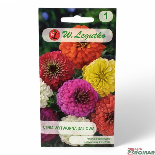 Cynia Wytworna Daliowa mix.jpg