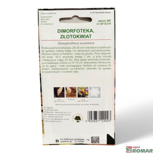 Dimorfoteka Złotokwiat(2).jpg