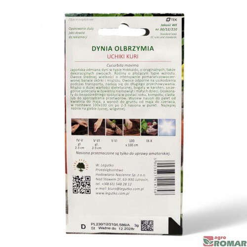 Dynia olbrzymia Uchiki kuri(2).jpg