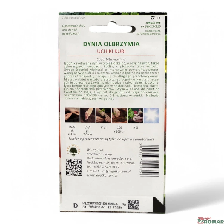 Dynia olbrzymia Uchiki kuri(2).jpg