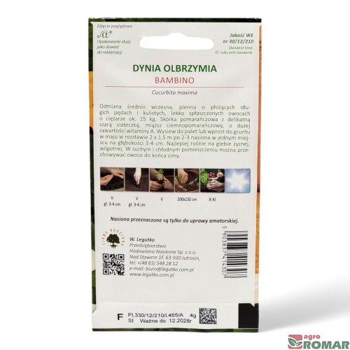 Dynia olbrzymia bambino(2).jpg