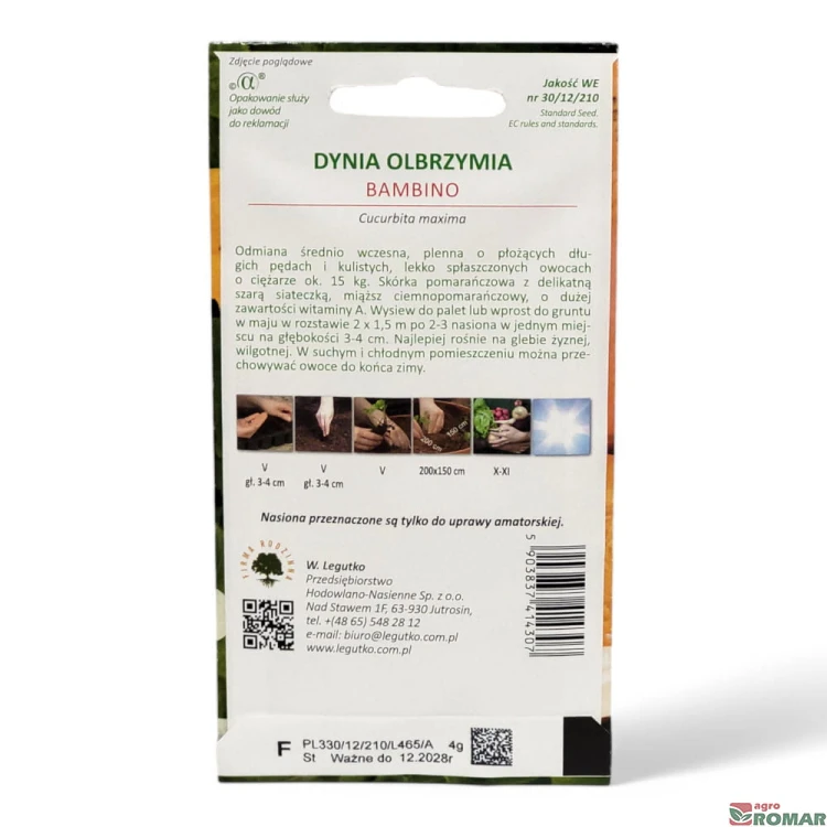 Dynia olbrzymia bambino(2).jpg