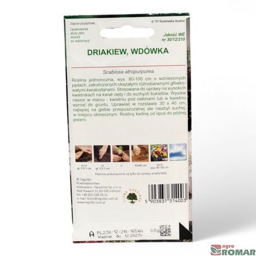 Driakiew Wdówka(2).jpg