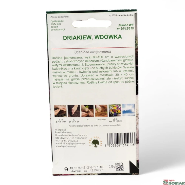 Driakiew Wdówka(2).jpg