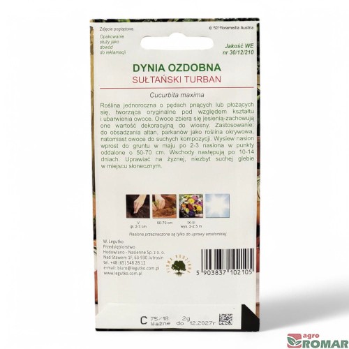 Dynia ozdobna Sułtański turban(2).jpg