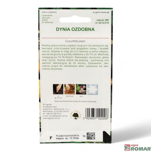 Dynia ozdobna(2).jpg