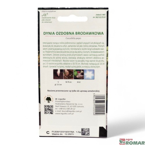 Dynia ozdobna Brodawkowa(2).jpg