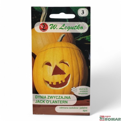 Dynia zwyczajna Jack O'Lantern.jpg