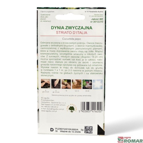 Dynia zwyczajna cukinia Striato (2).jpg
