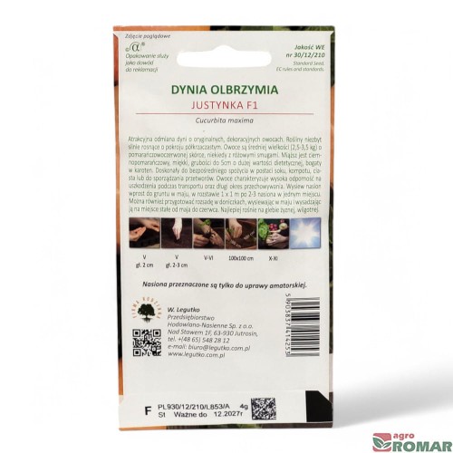 Dynia olbrzymia Justynka(2).jpg