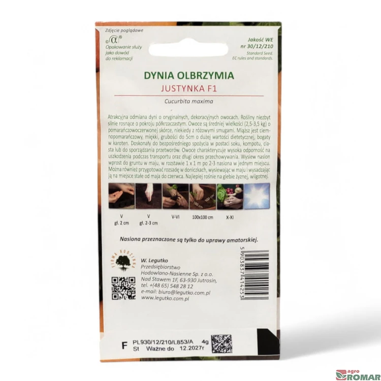 Dynia olbrzymia Justynka(2).jpg