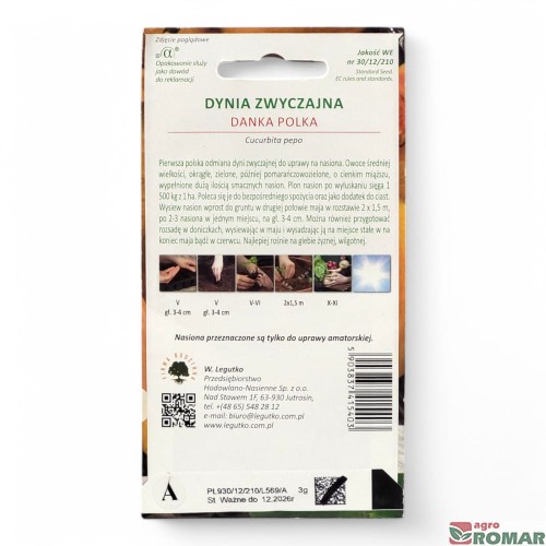 Dynia zwyczajna Danka polka(2).jpg