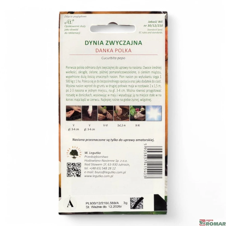 Dynia zwyczajna Danka polka(2).jpg