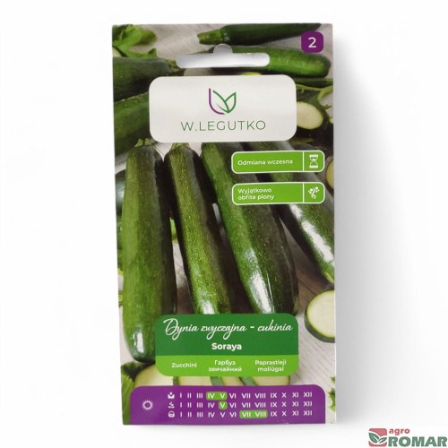 Dynia zwyczajna cukinia Soraya.jpg