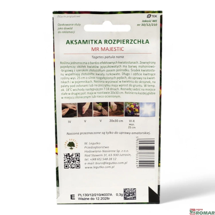Aksamitka Rozpierzchła Mr Majestic(2).jpg