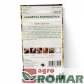 Aksamitka Rozpierzchła żółta(2).jpg
