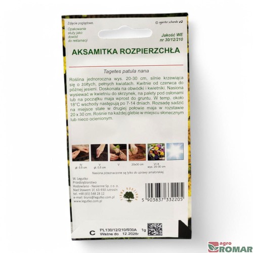 Aksamitka Rozpierzchła żółta(2).jpg