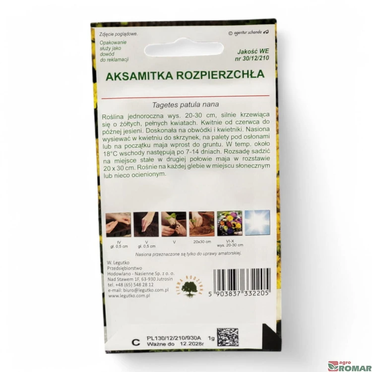 Aksamitka Rozpierzchła żółta(2).jpg