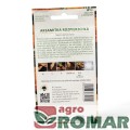 Aksamitka Rozpierzchła pomarańczowa(2).jpg