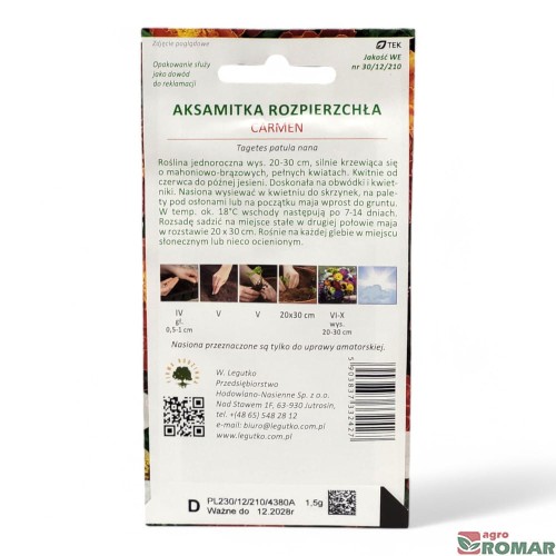 Aksamitka rozpiechrzła Carmen.jpg