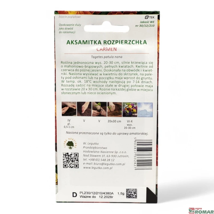 Aksamitka rozpiechrzła Carmen.jpg