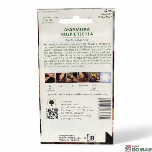 Aksamitka Rozpierzchła pomarańczowo-czerwona(2).jpg