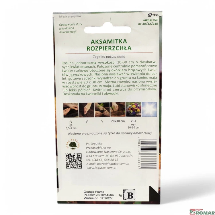 Aksamitka Rozpierzchła pomarańczowo-czerwona(2).jpg