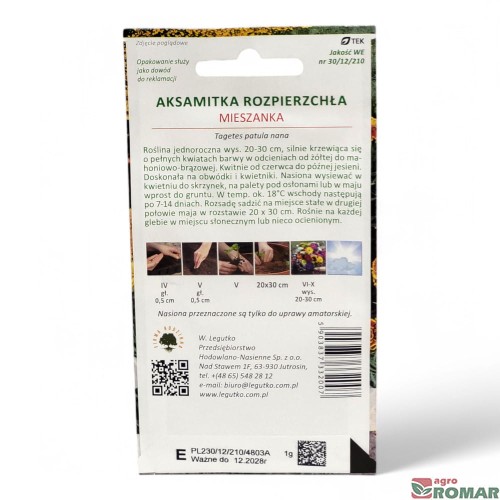 Aksamitka Rozpierzchła miesznka (2).jpg