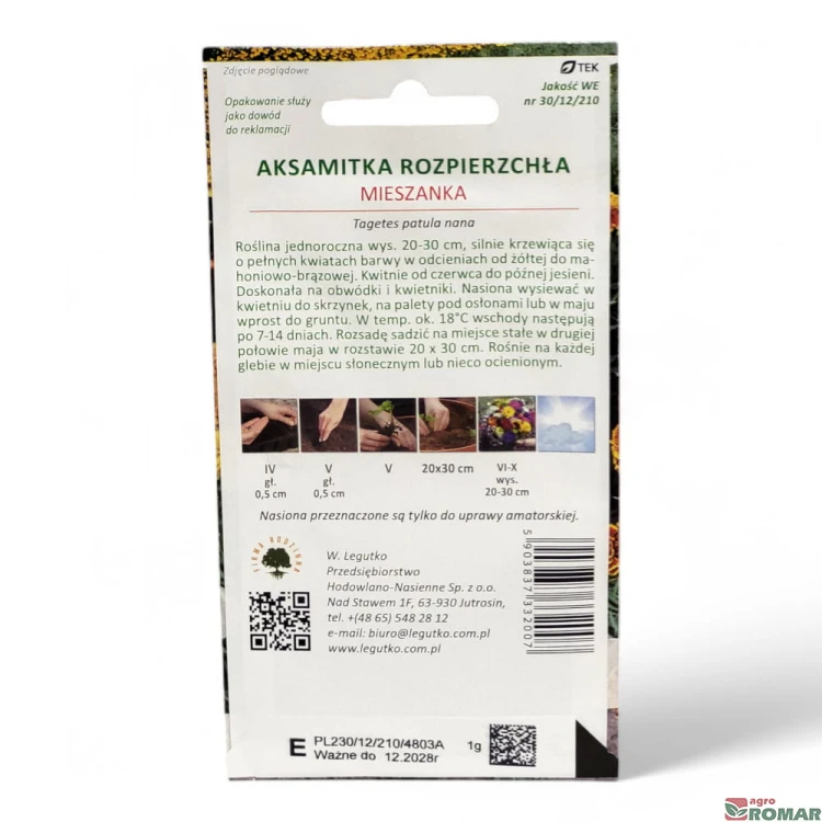 Aksamitka Rozpierzchła miesznka (2).jpg
