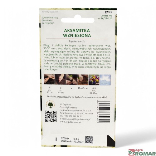 Aksamitka Wzniesiona(2).jpg