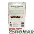 Aksamitka Wzniesiona Fantastic(2).jpg