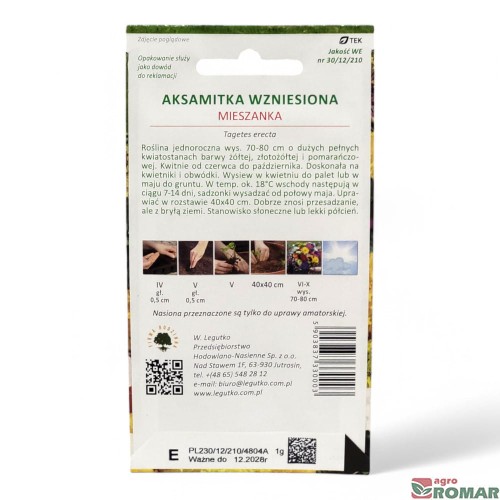 Aksamitka Wzniesiona mieszanka(2).jpg